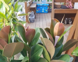 조아라 펜션 정…